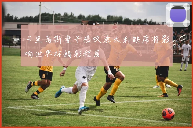 卡里乌斯妻子感叹意大利缺席将影响世界杯精彩程度